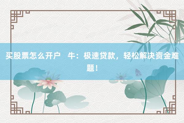买股票怎么开户   牛：极速贷款，轻松解决资金难题！
