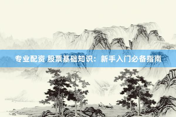 专业配资 股票基础知识：新手入门必备指南