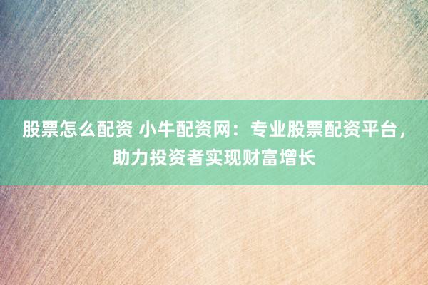 股票怎么配资 小牛配资网：专业股票配资平台，助力投资者实现财富增长
