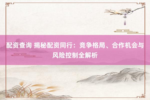配资查询 揭秘配资同行：竞争格局、合作机会与风险控制全解析