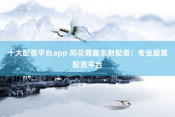 十大配资平台app 同花顺鑫东财配资：专业股票配资平台