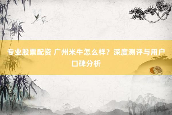 专业股票配资 广州米牛怎么样？深度测评与用户口碑分析