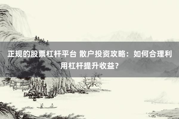 正规的股票杠杆平台 散户投资攻略:如何合理利用杠杆提升收益?