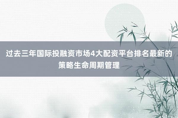 过去三年国际投融资市场4大配资平台排名最新的策略生命周期管理