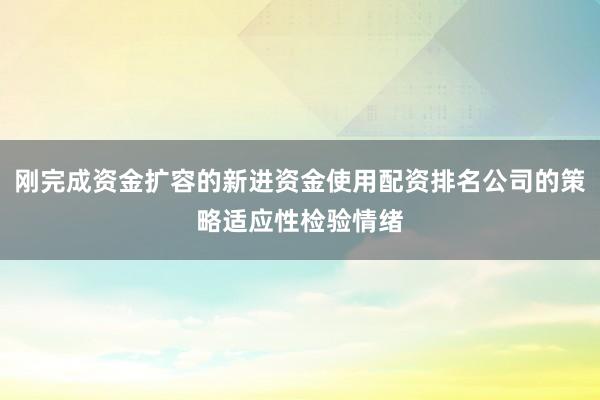 刚完成资金扩容的新进资金使用配资排名公司的策略适应性检验情绪