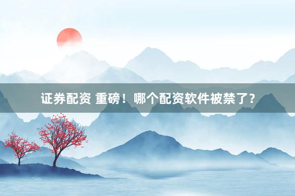 证券配资 重磅！哪个配资软件被禁了？